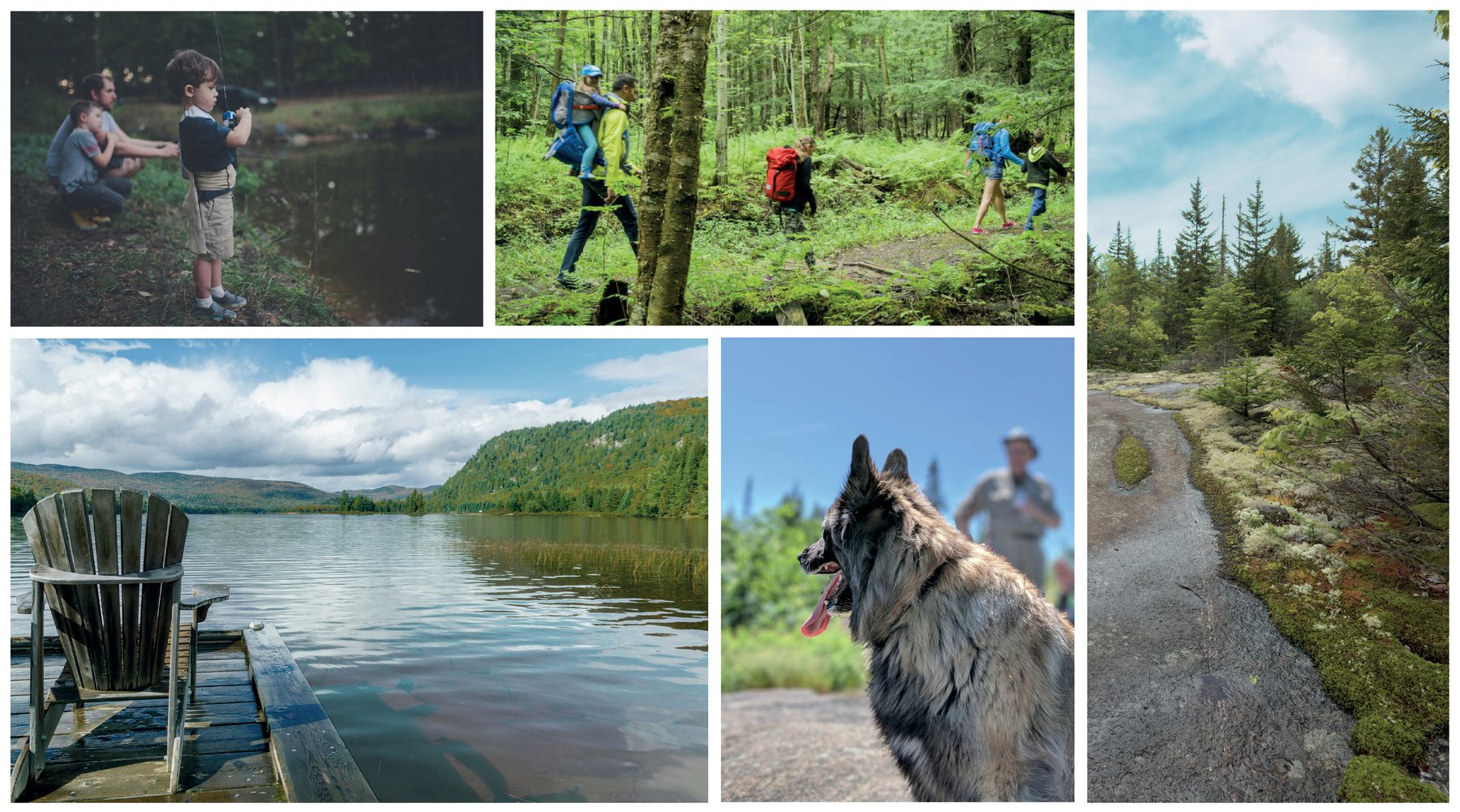 Activités quatre saisons : pêche, randonnée et plein air en famille