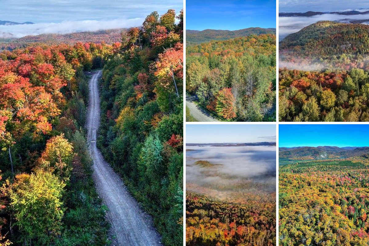 Les 5 phases du domaine Peakwatina réunies