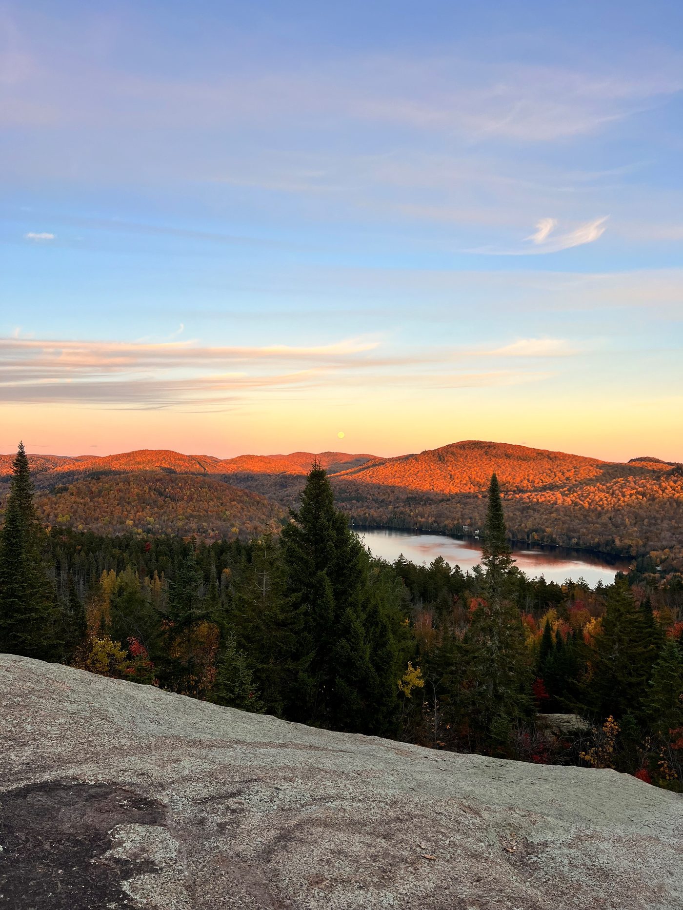 Forêt d'automne dense et rivière au domaine Peakwatina
