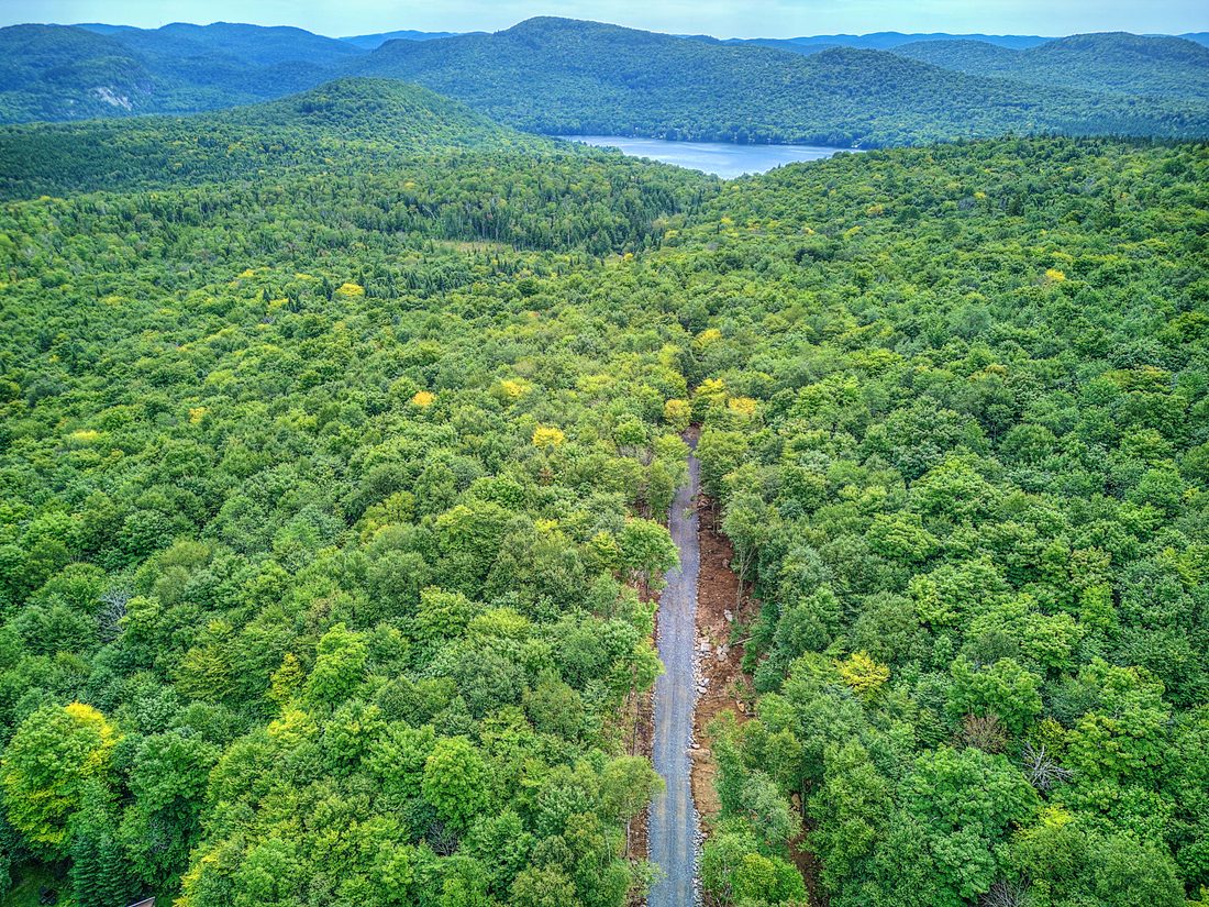 Forêt et montagnes du domaine