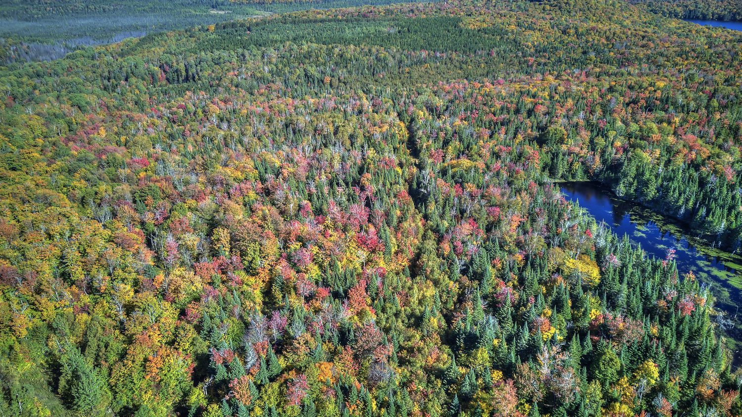 Vue aérienne du domaine Peakwatina dans les Laurentides